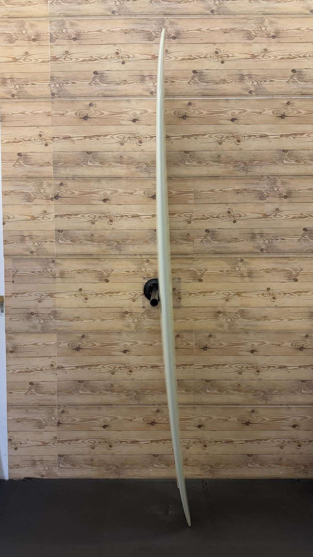 Chameleon 9'1"