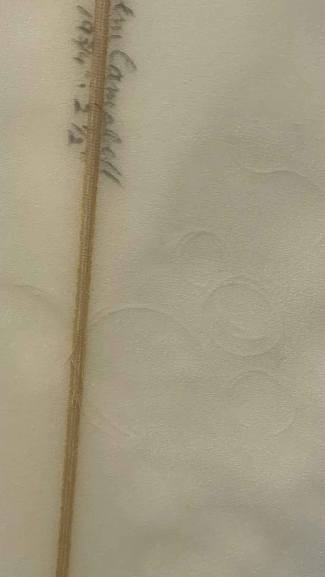 E-Wing Bonzer 5 Egg 6'2"