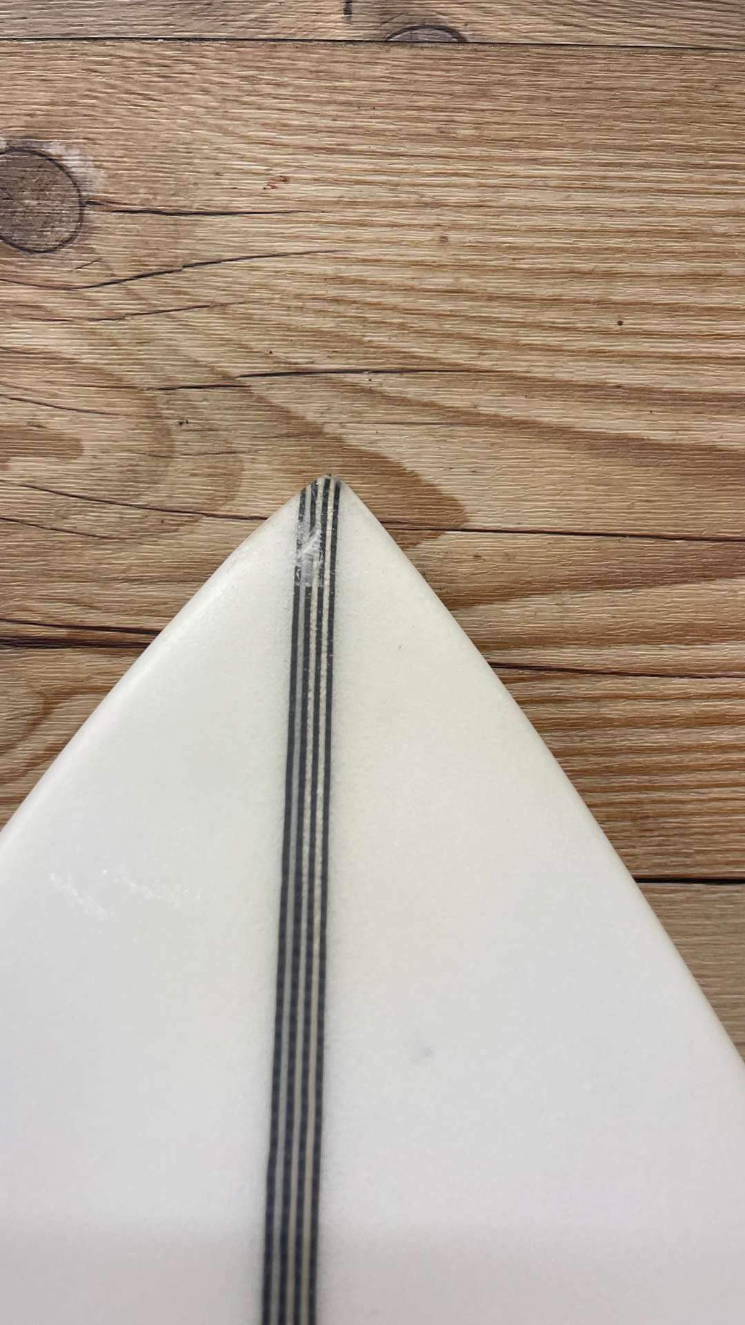 Forget Me Not 2 6'5"