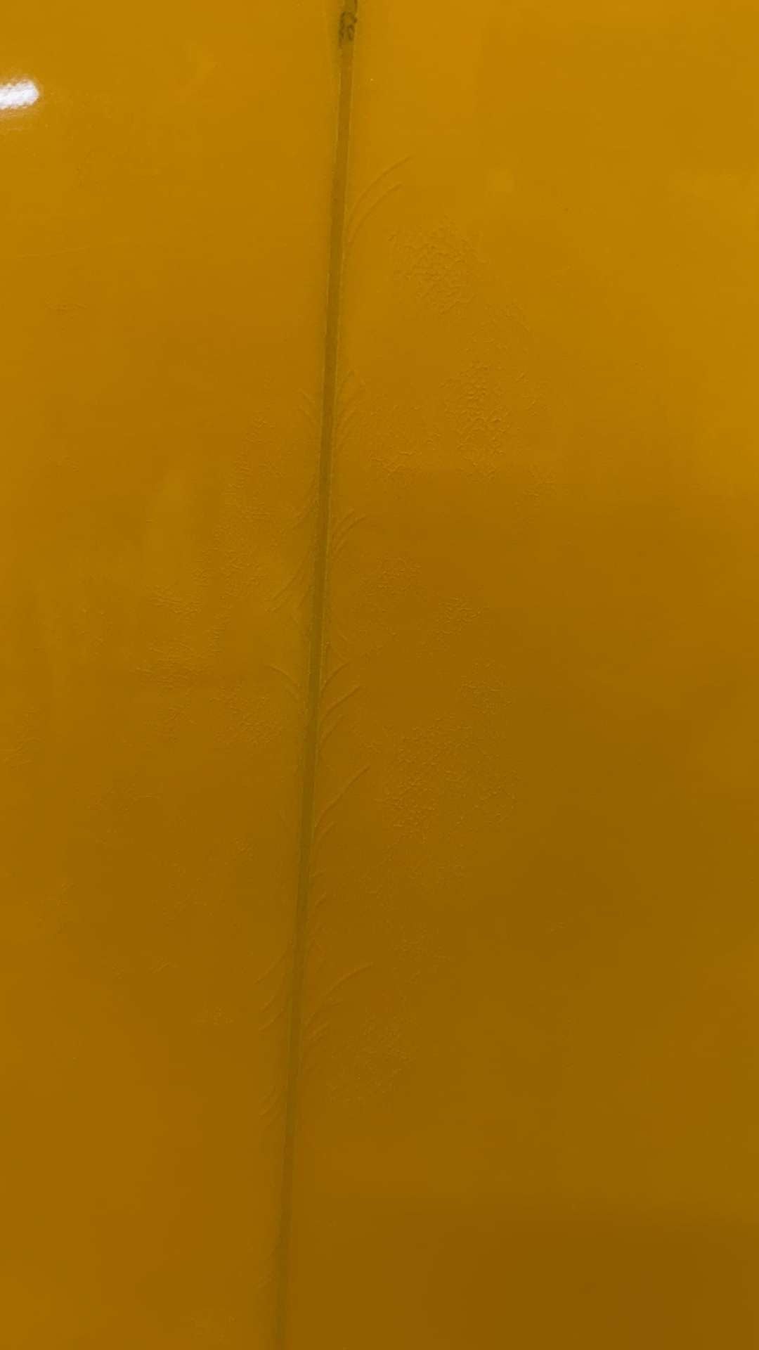 Twin Fish 5'10"