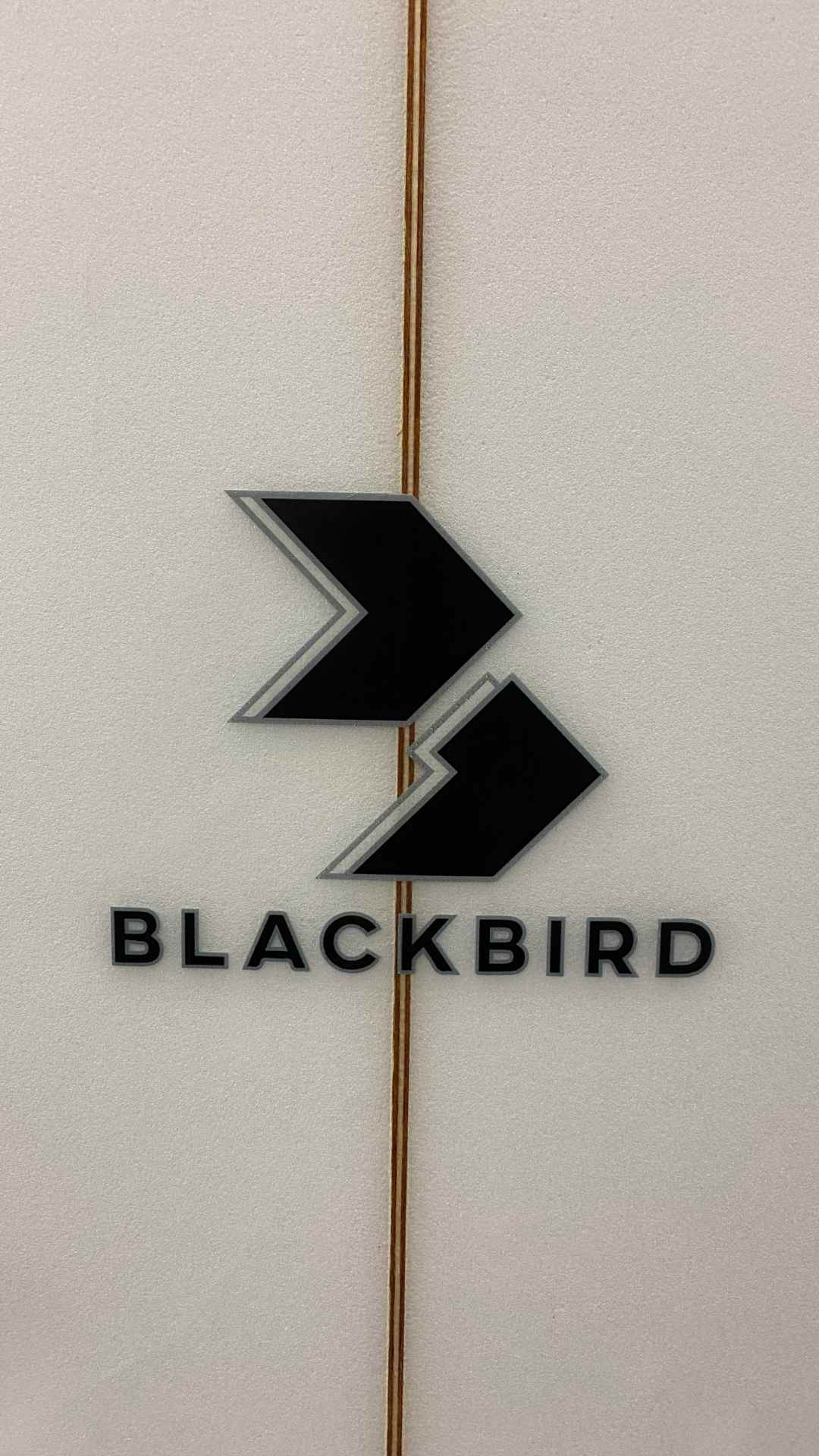 Winged Swallow Tail 5'11"