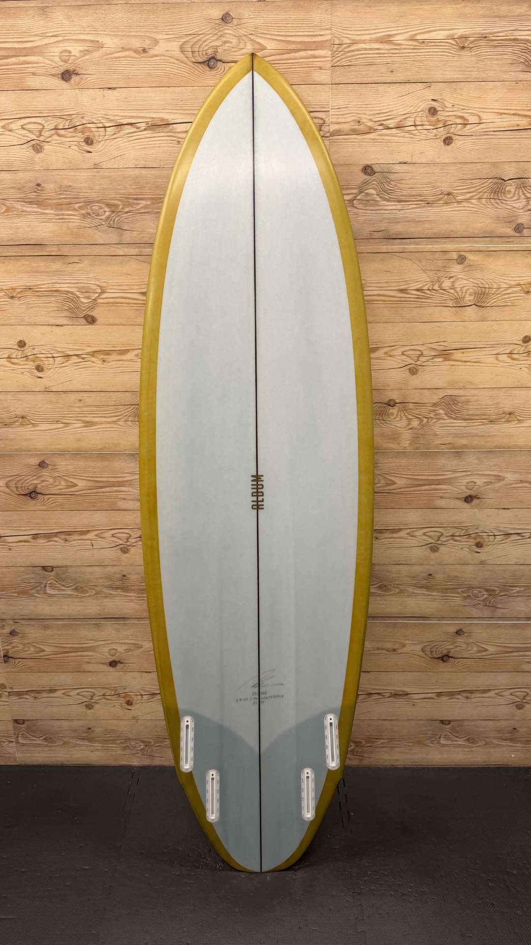 Delma 6'4"