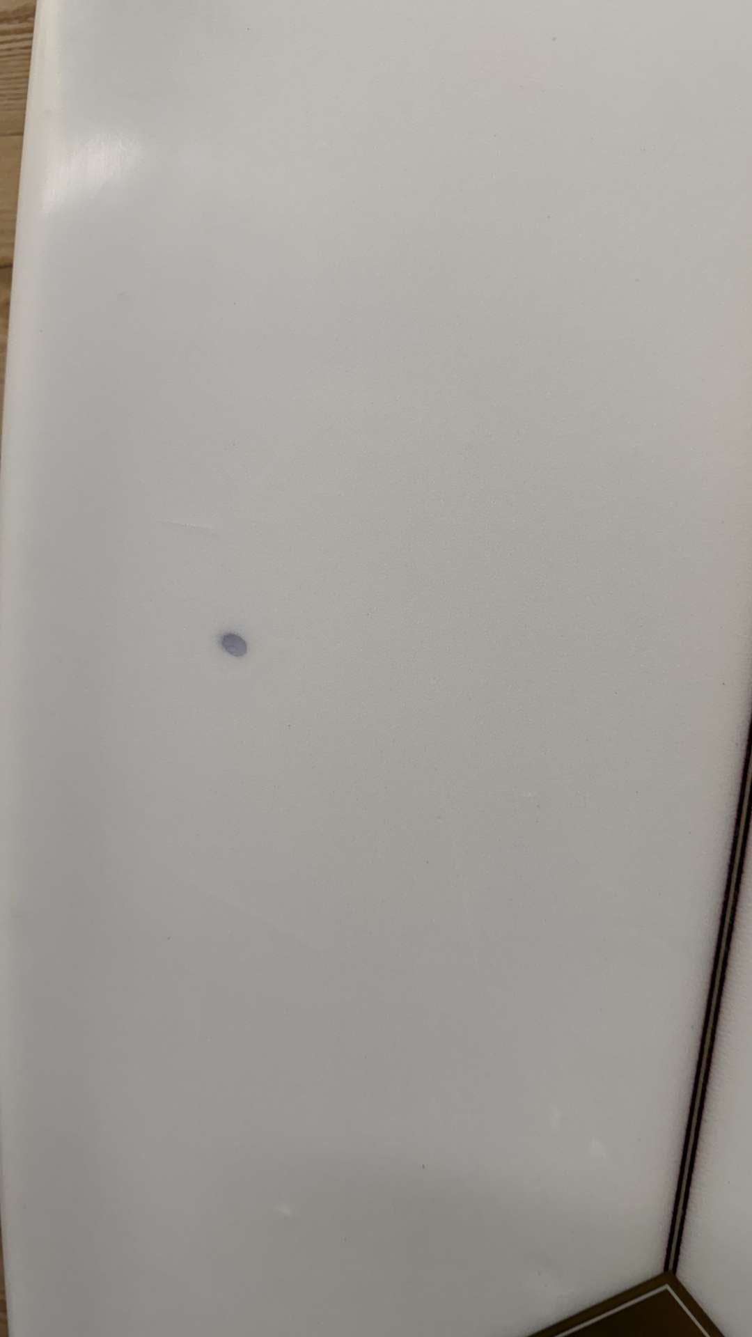 Disc 6'3"