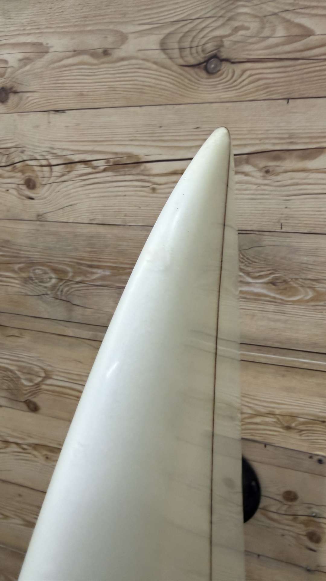 Twin Fish 5'10"
