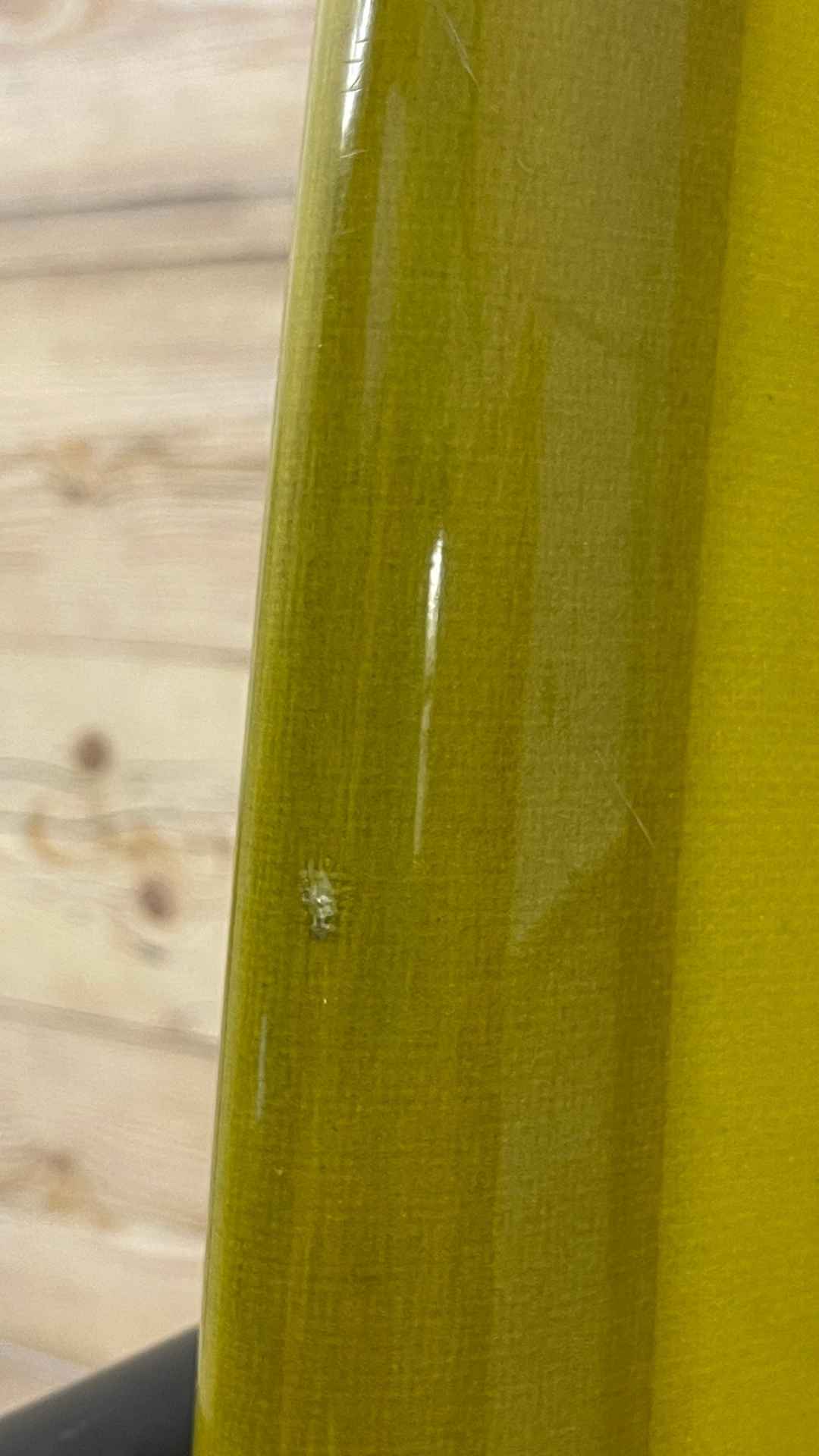 Pleasant Pheasant 6'4"