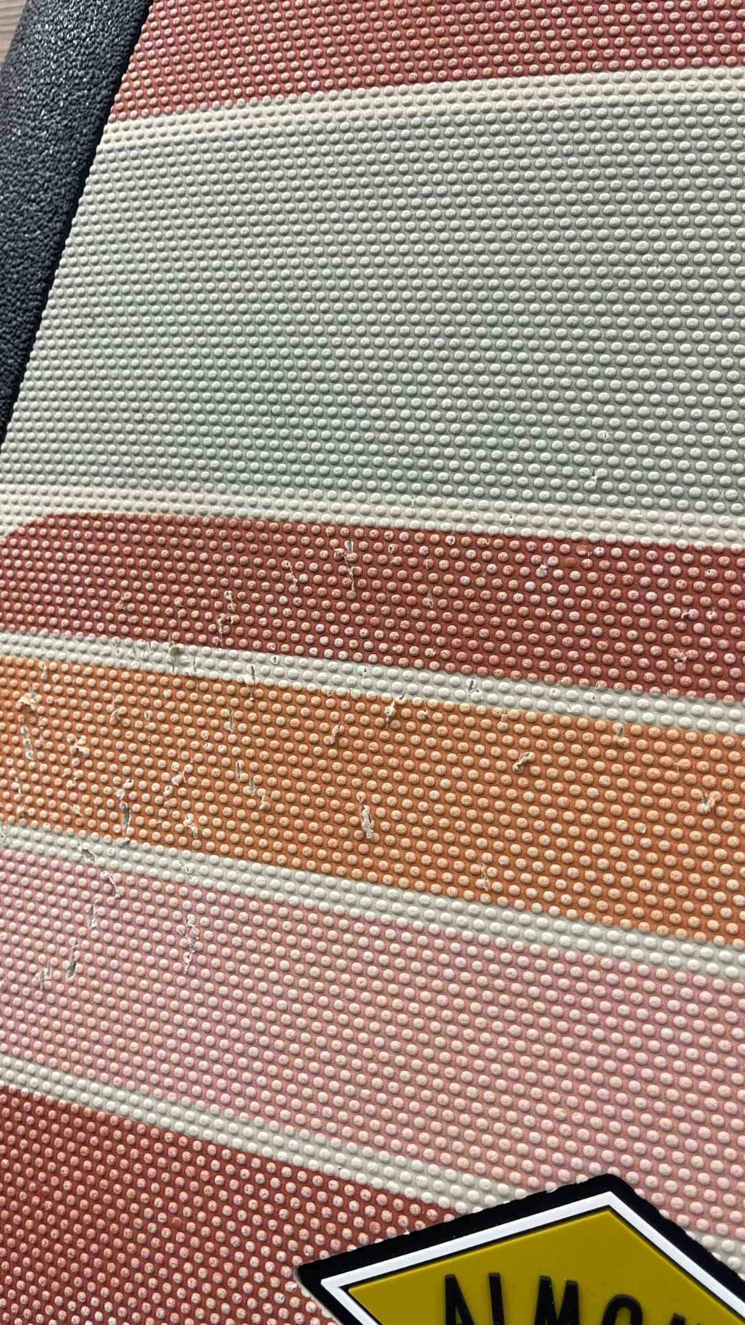 Pleasant Pheasant 6'4"