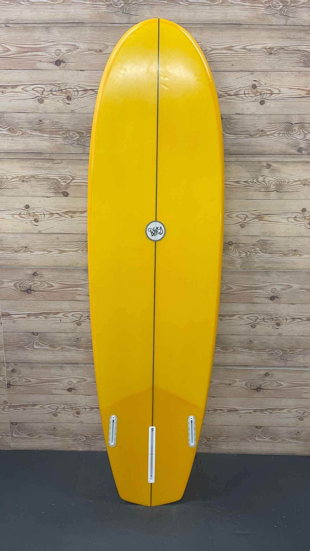 2+1 Funboard 6'9"