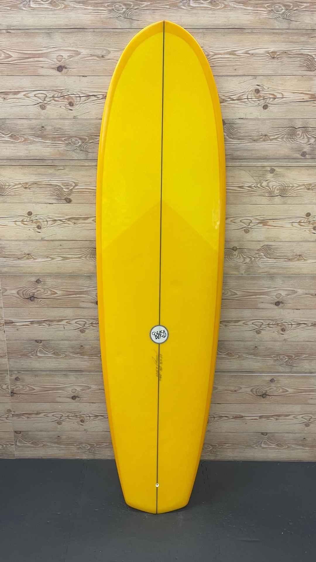 2+1 Funboard 6'9"