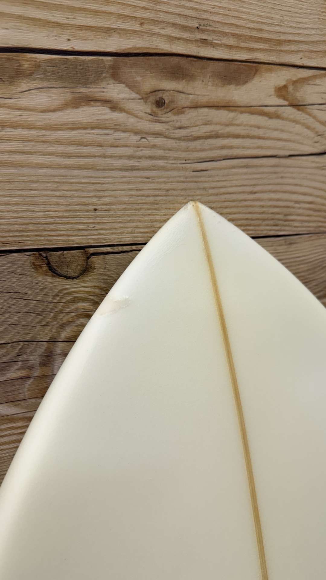 Twin Fish 5'8"