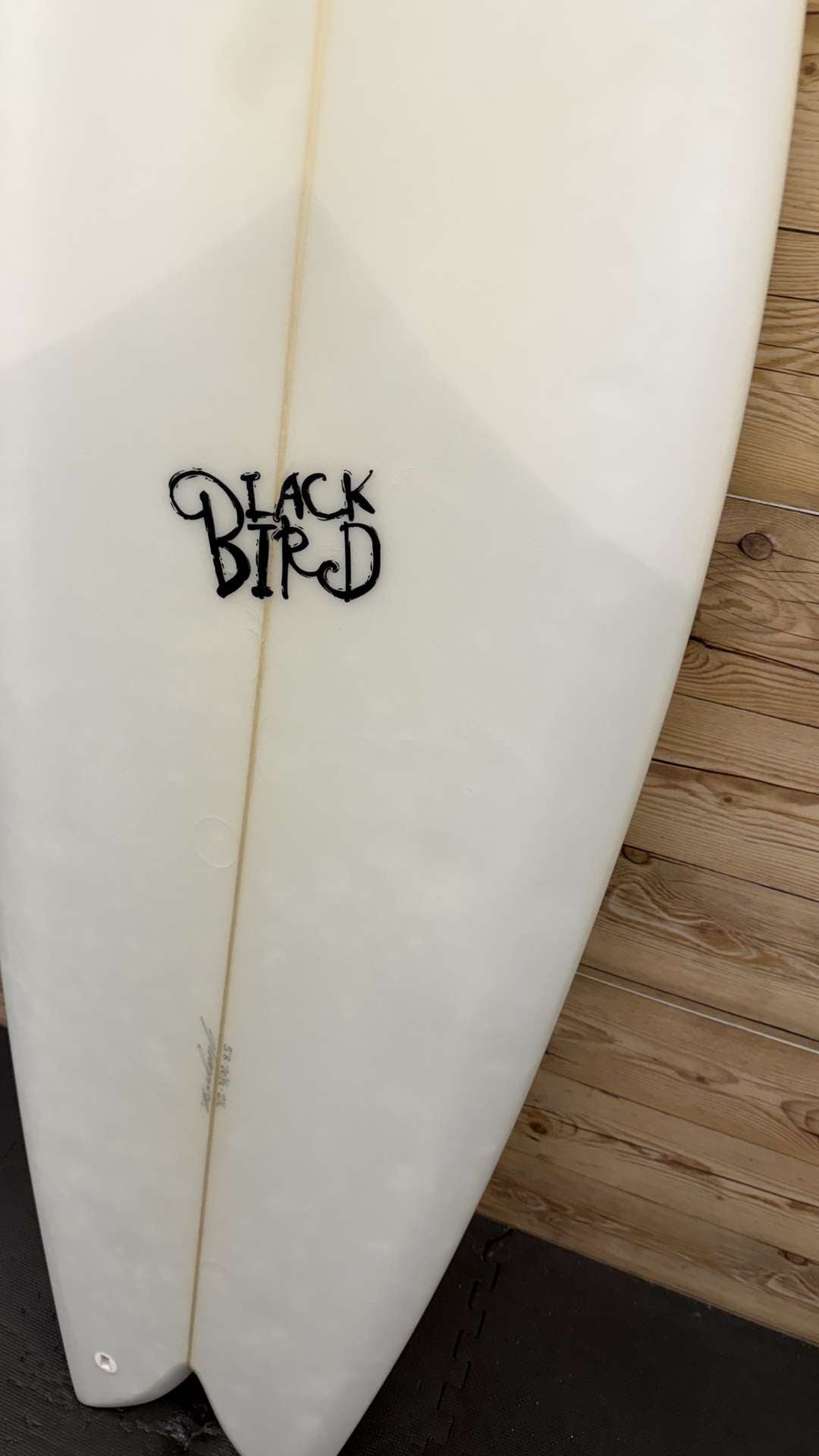 Twin Fish 5'8"