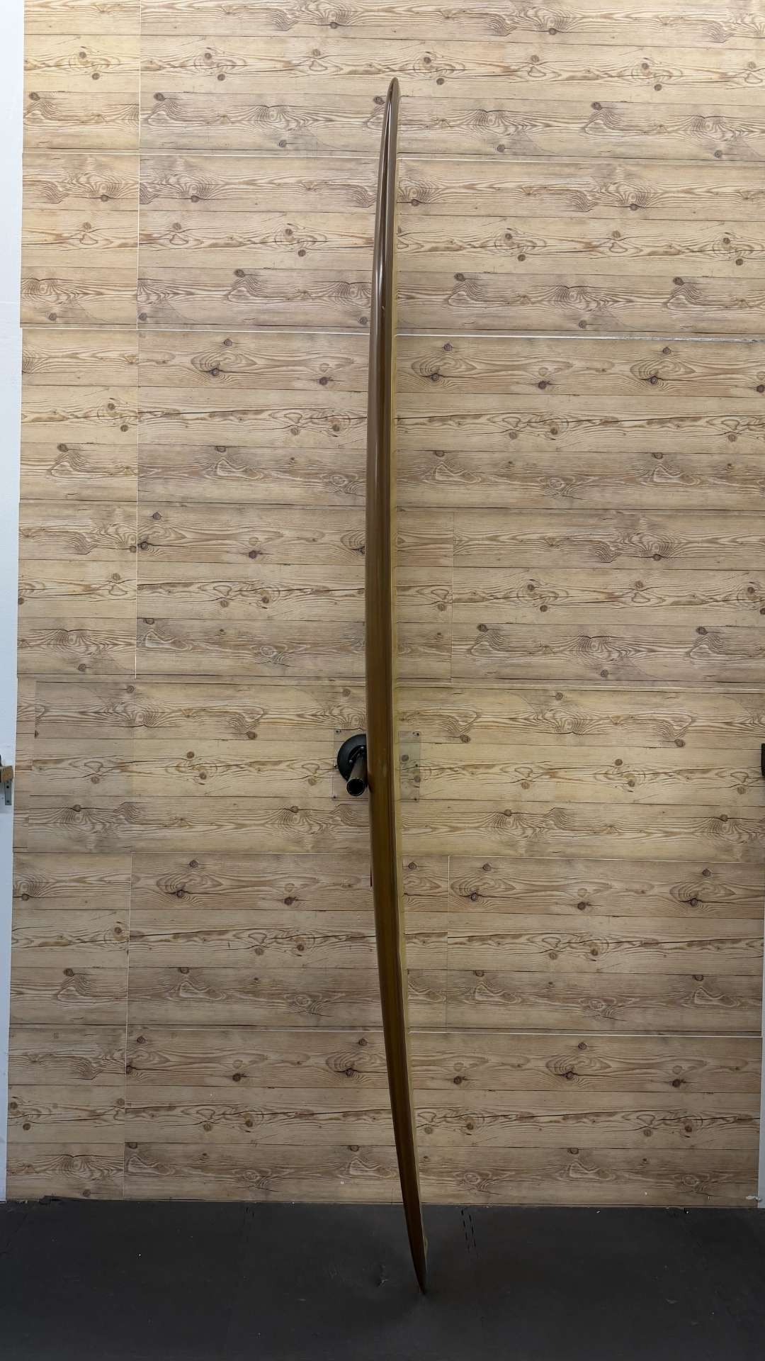 Pig 10'1"