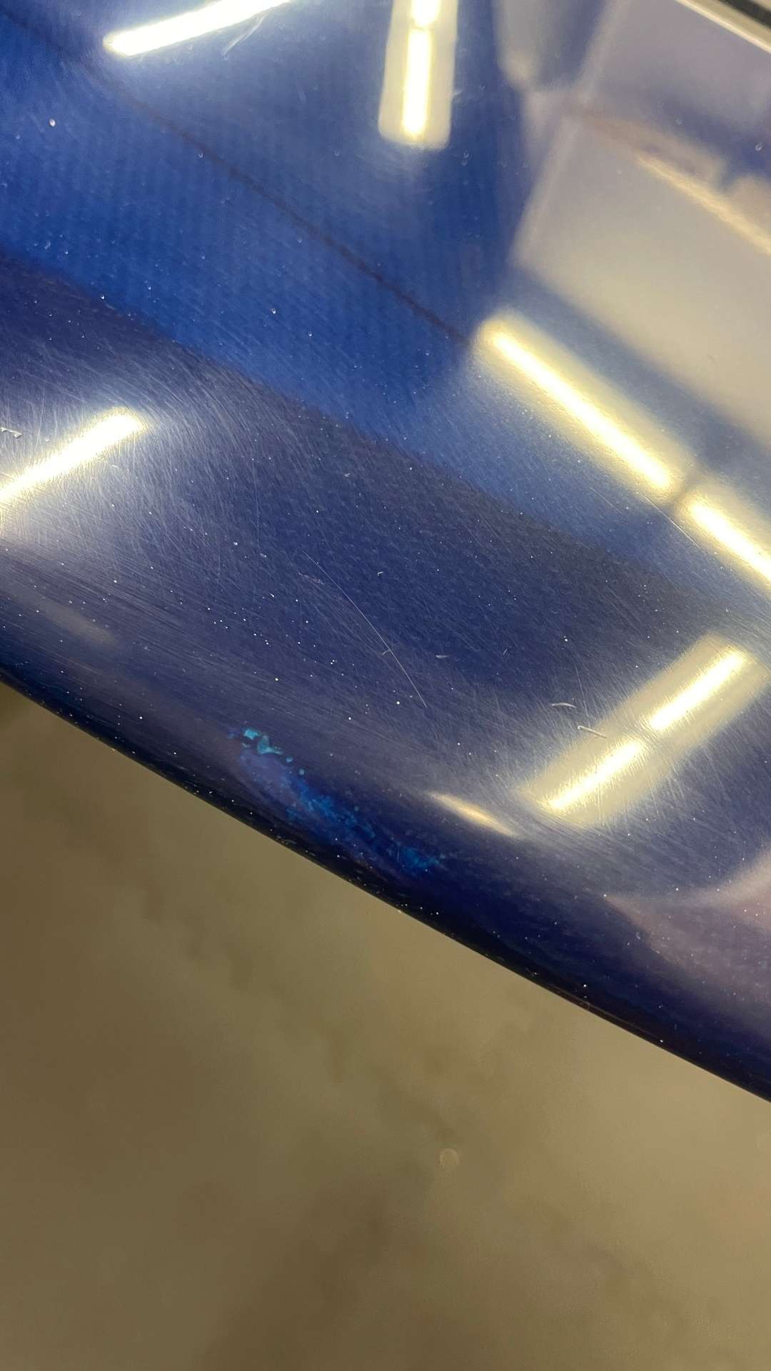 Scarlett Begonia 9'5"