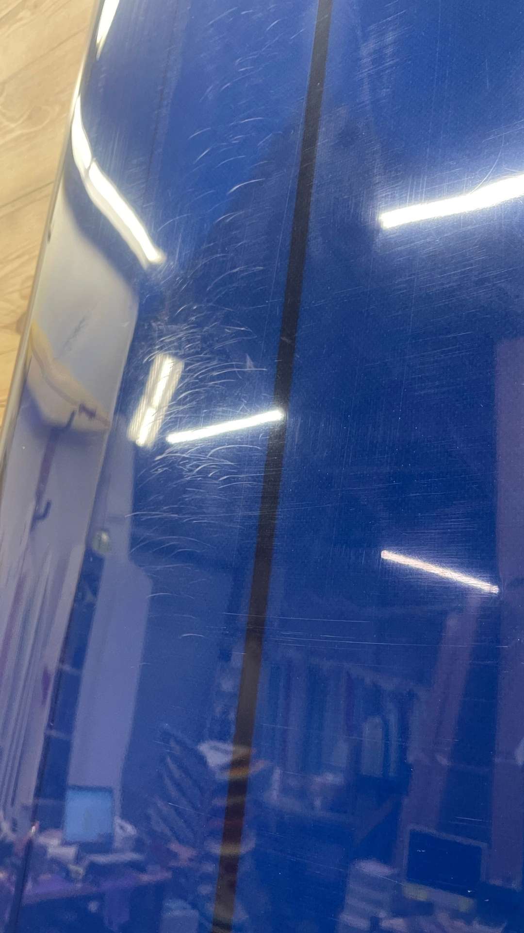 Scarlett Begonia 9'5"