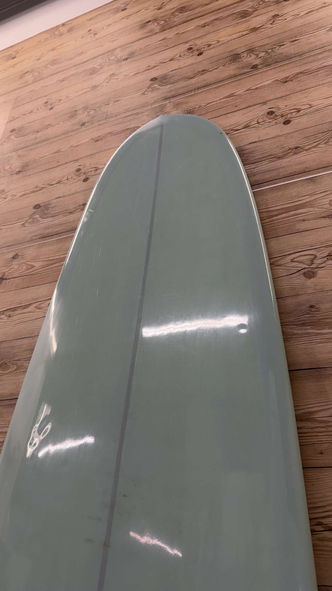 The Newt 9'6"