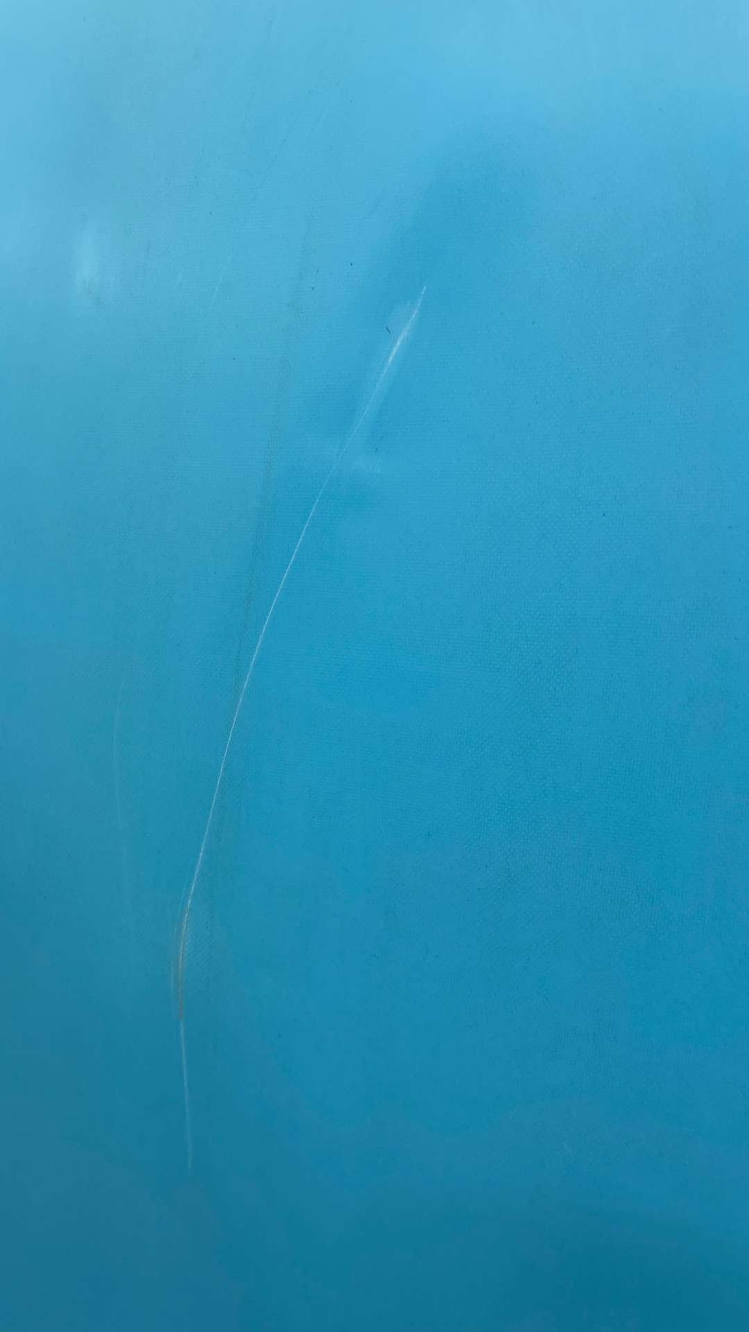 Seaside Fish 5'7"