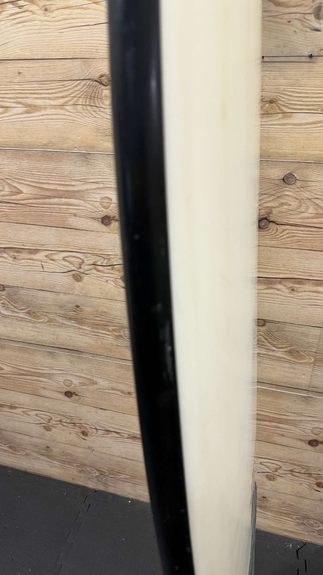 Seaside Fish 5'6"