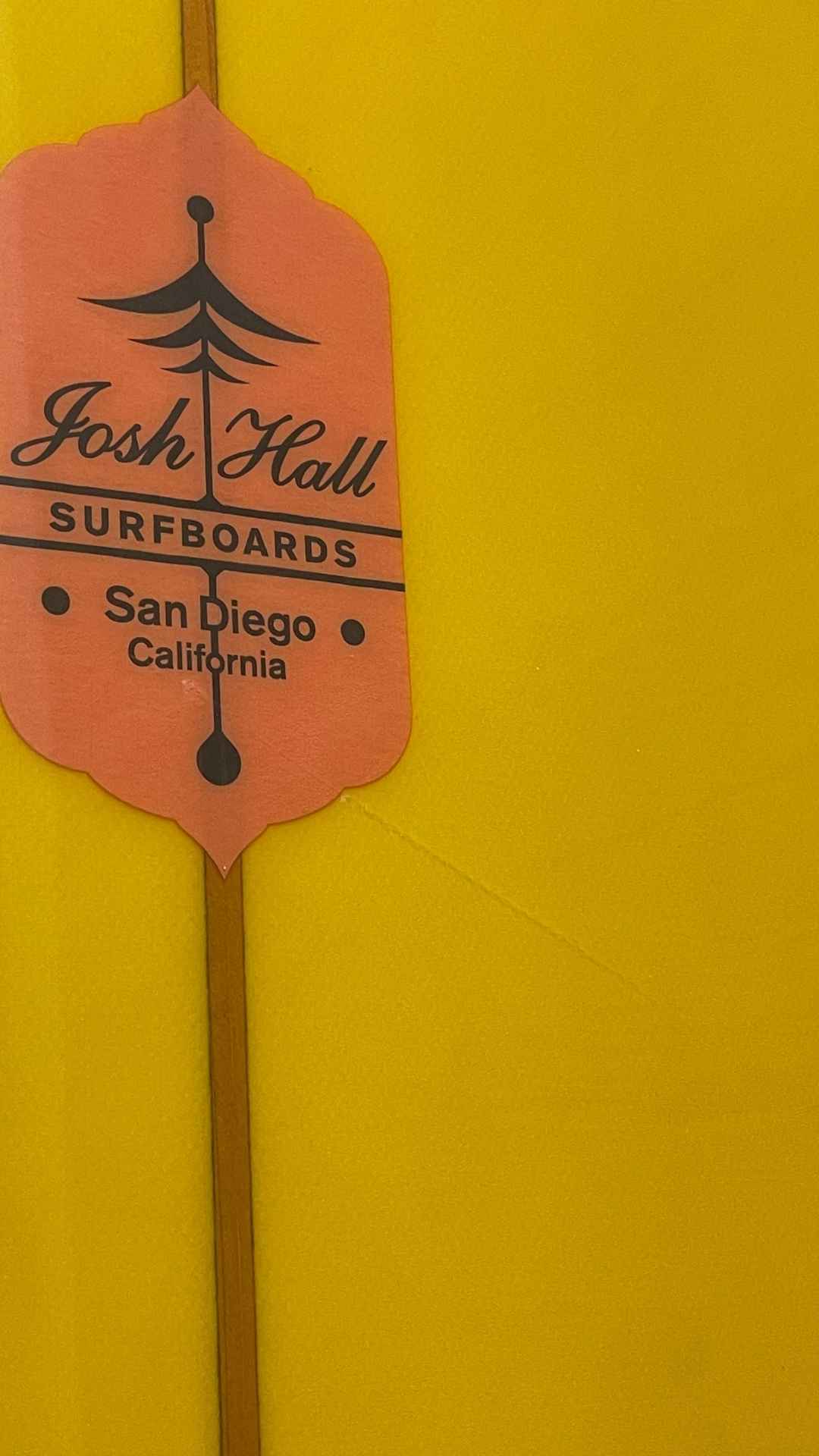 Single Fin 9'6"