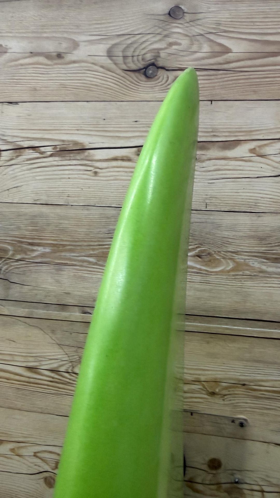 Duo 5'11"