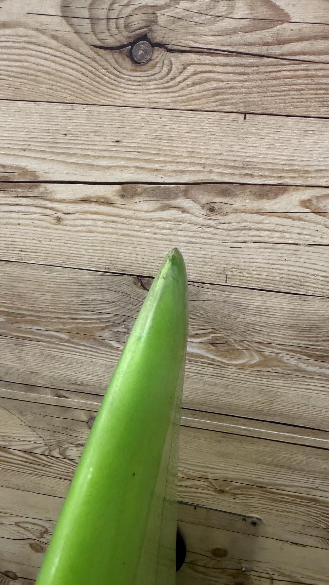 Duo 5'11"