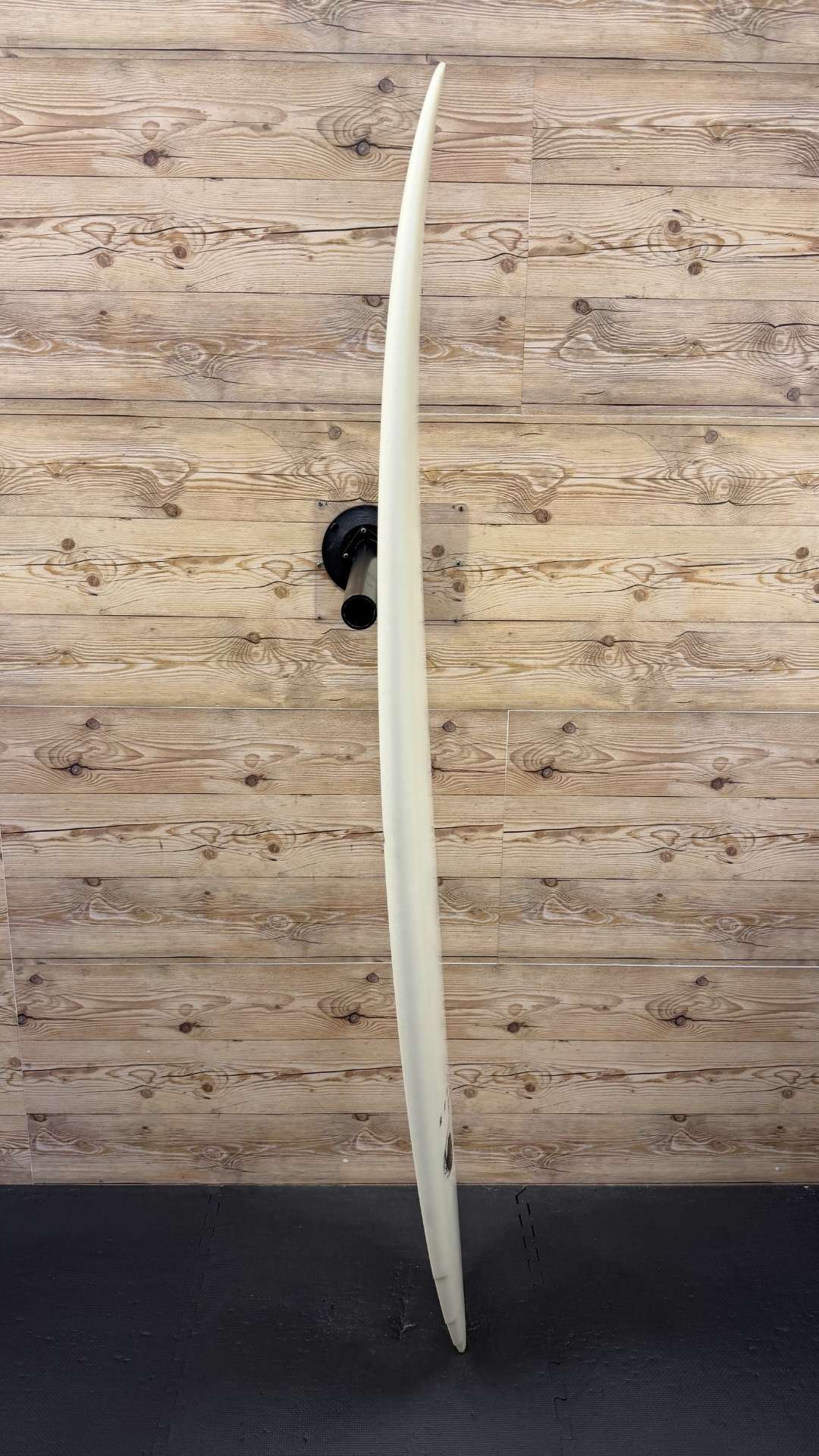 Piranha 6'2"