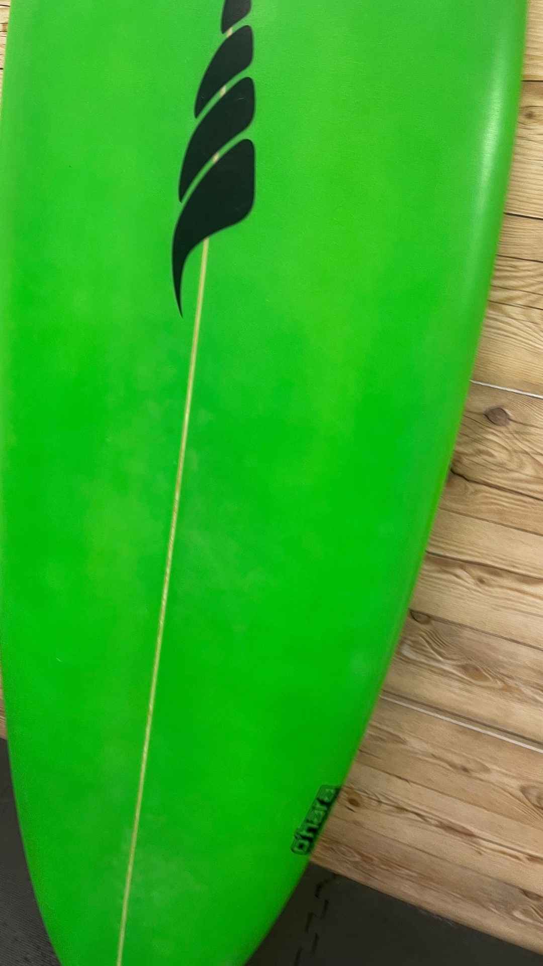 Bachelor 5'8"