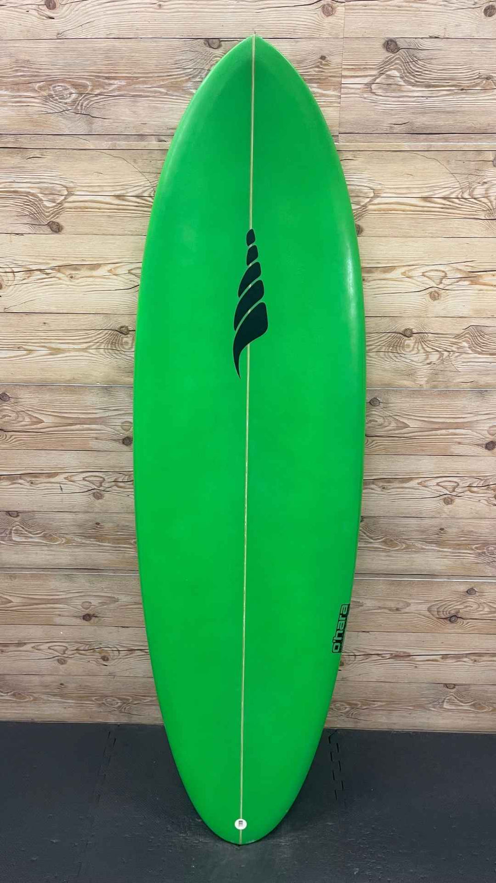 Bachelor 5'8"