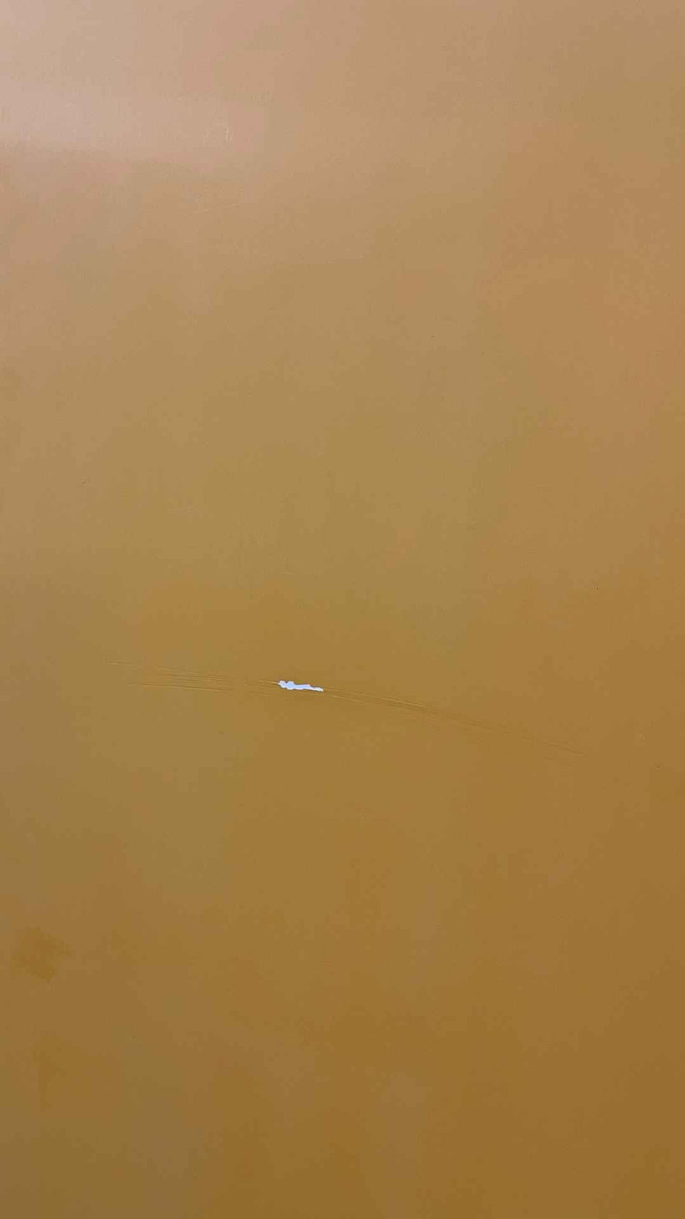 In The Pink *Blem 9'3"