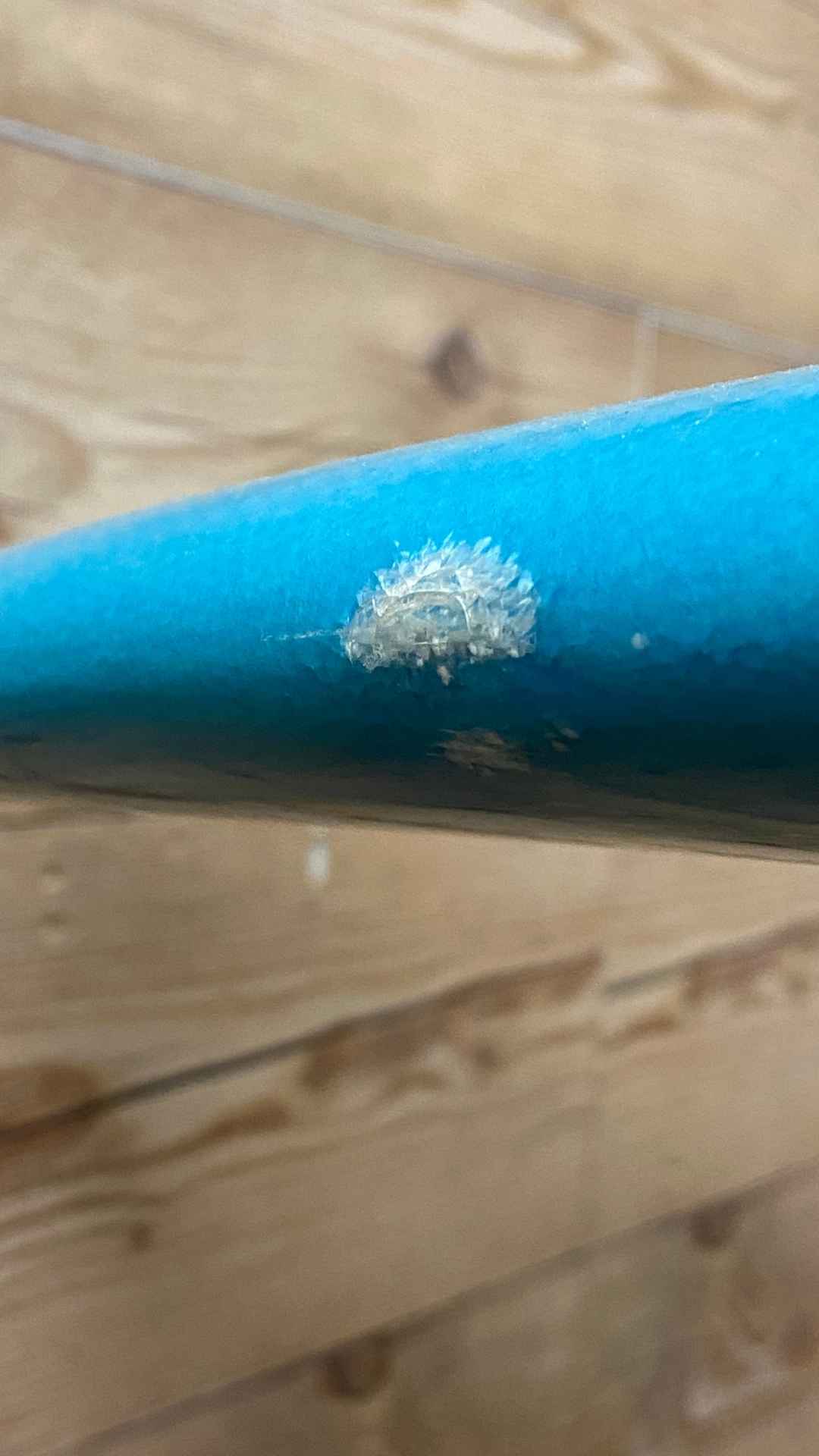 David Nuuhiwa Noseriding Model