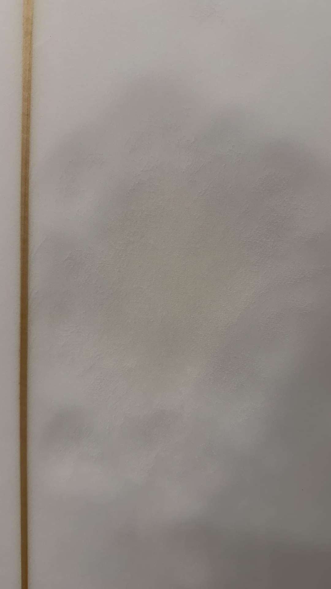 Long Fish 6'8"