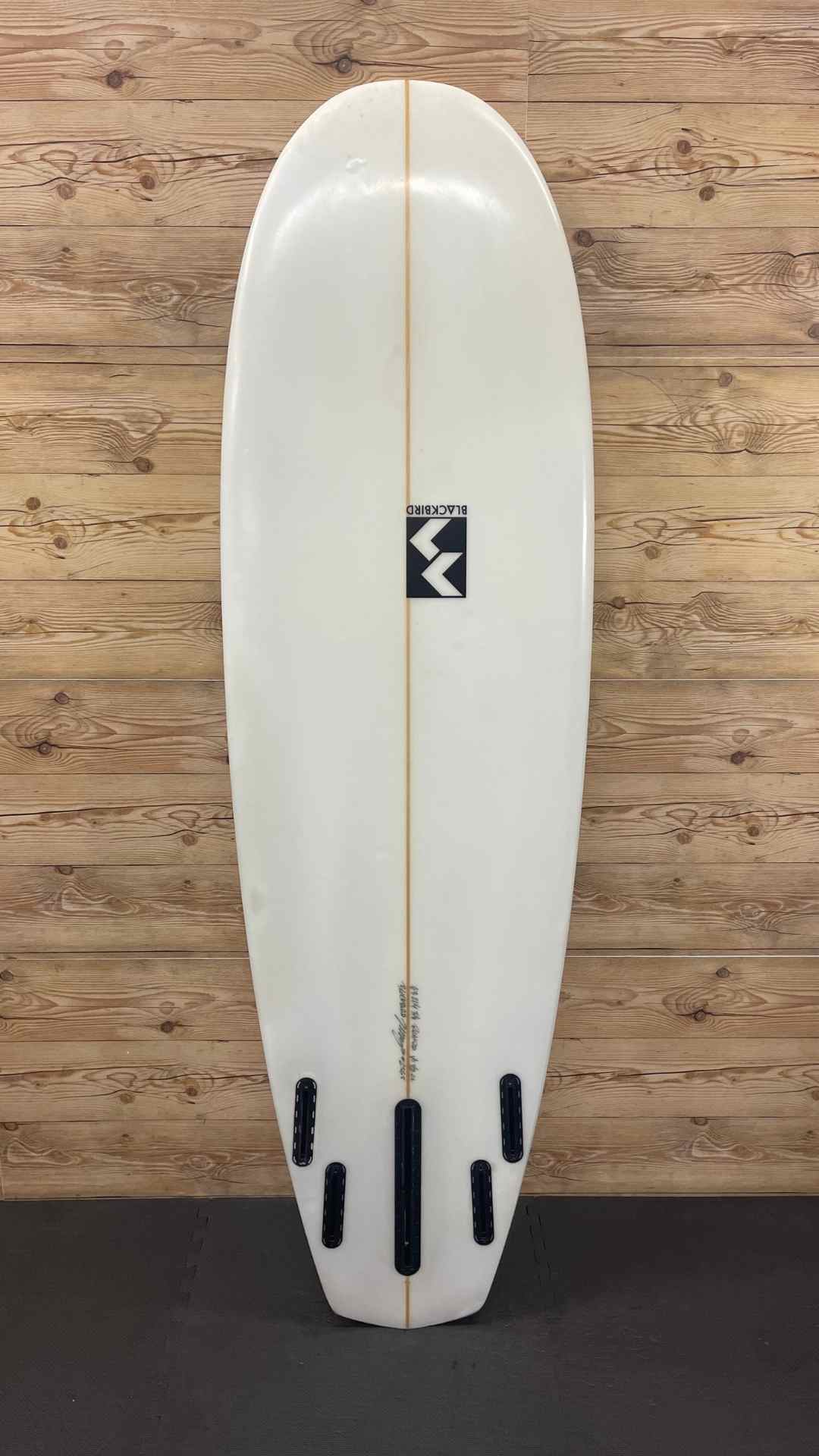 Blackbird Owl 6'3"