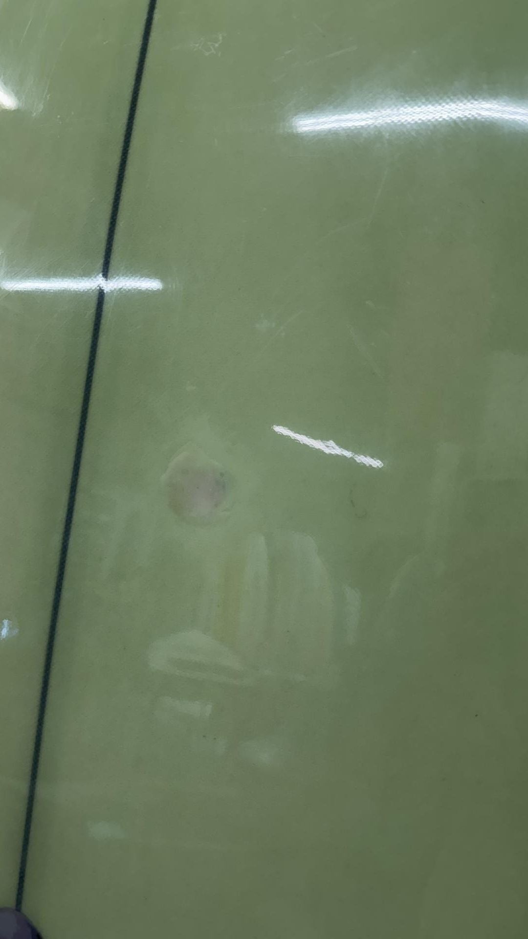 Nautilus 6'4"
