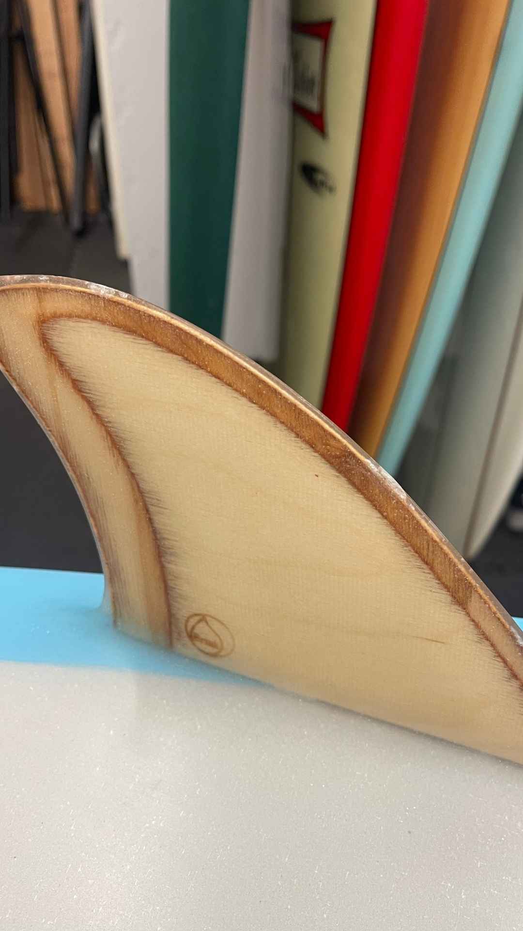 Twin Fish 5'10"