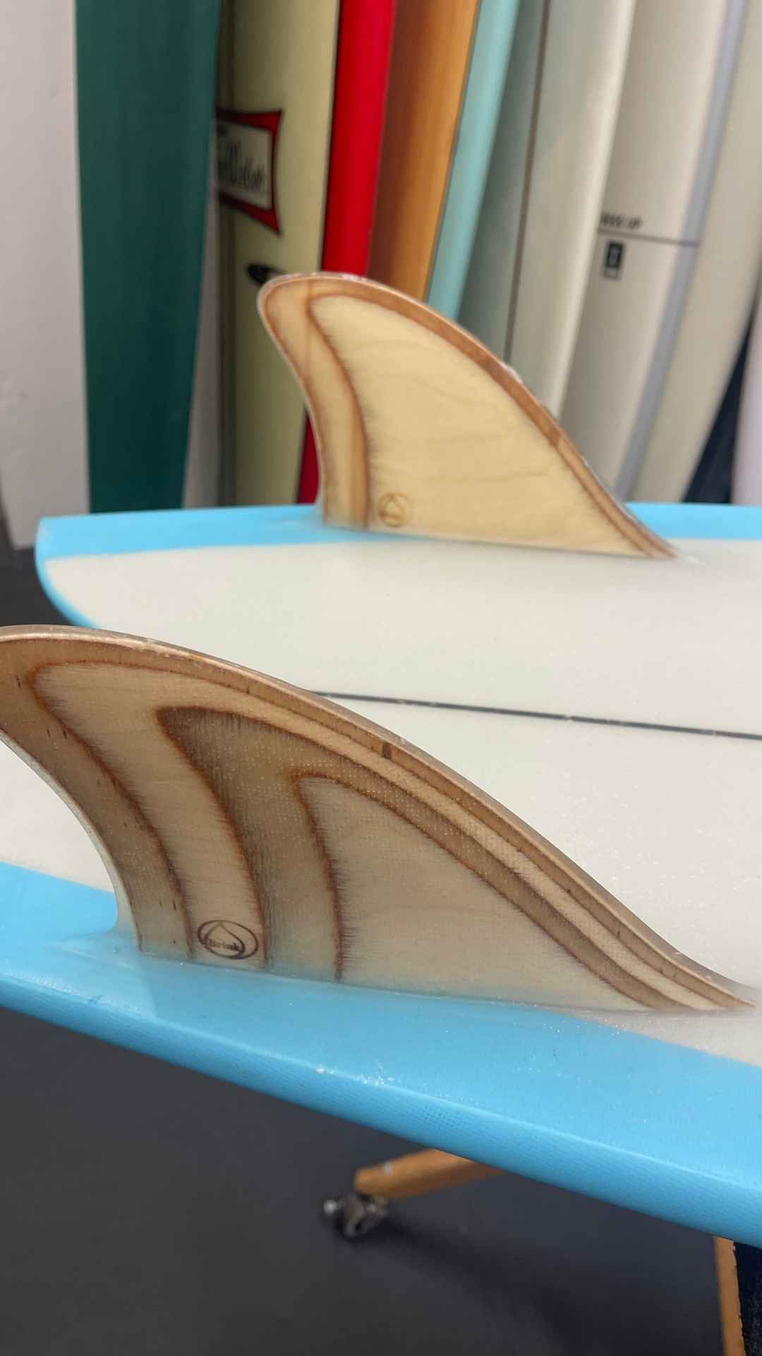 Twin Fish 5'10"