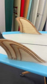 Twin Fish 5'10"