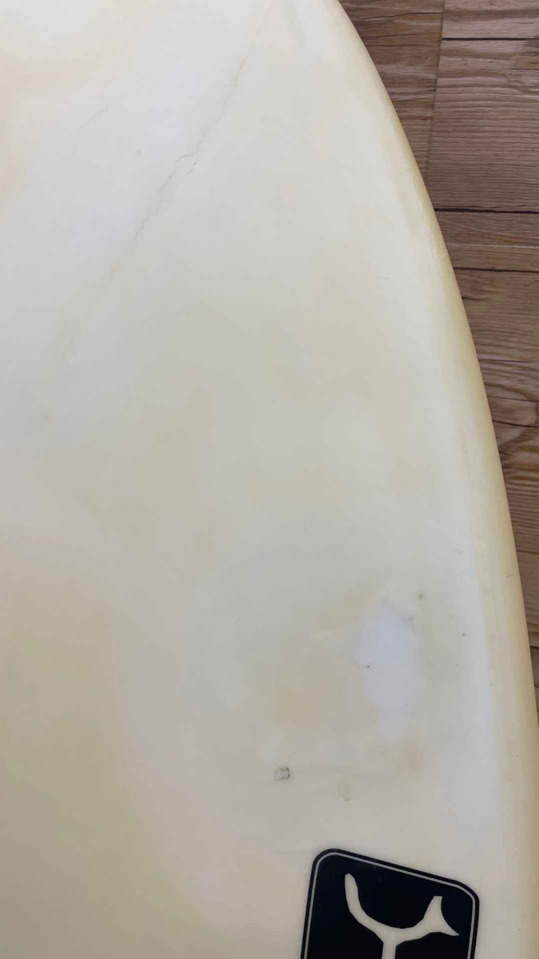Seaside Fish 5'9"