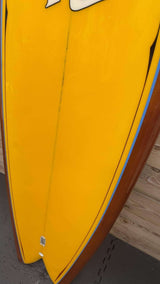 Twin Fish 5'10"