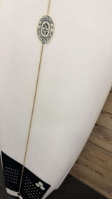 Duo Fish 5'8"