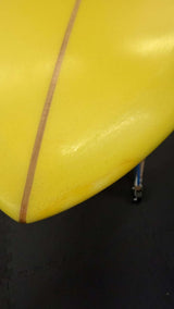 Fish 7'2"