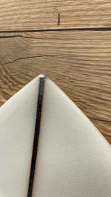 Twin Fish 5'6"