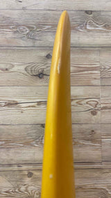 Terrapin Twin 6'8"