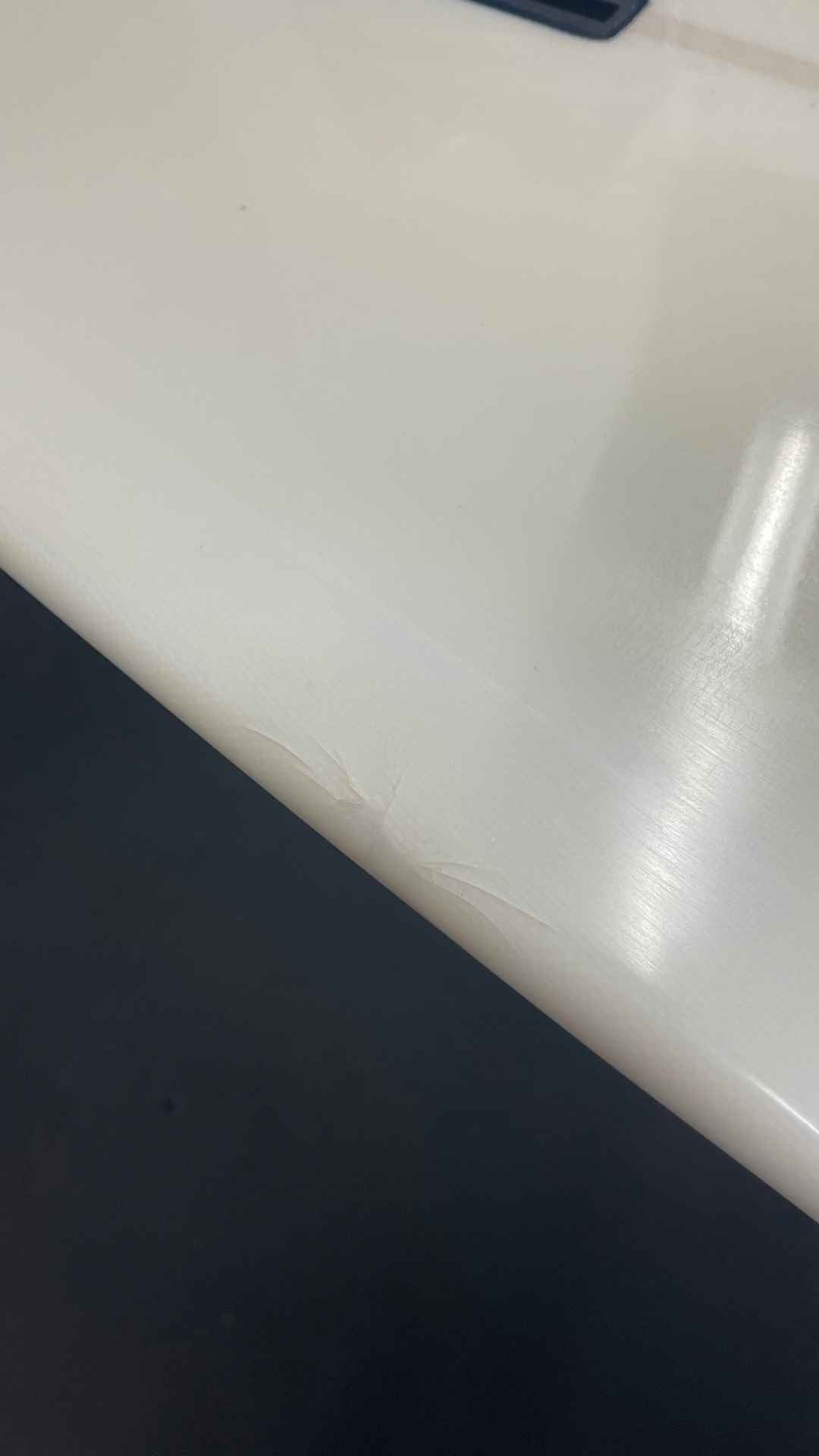 For Sale -Bing Lovebird 9'4