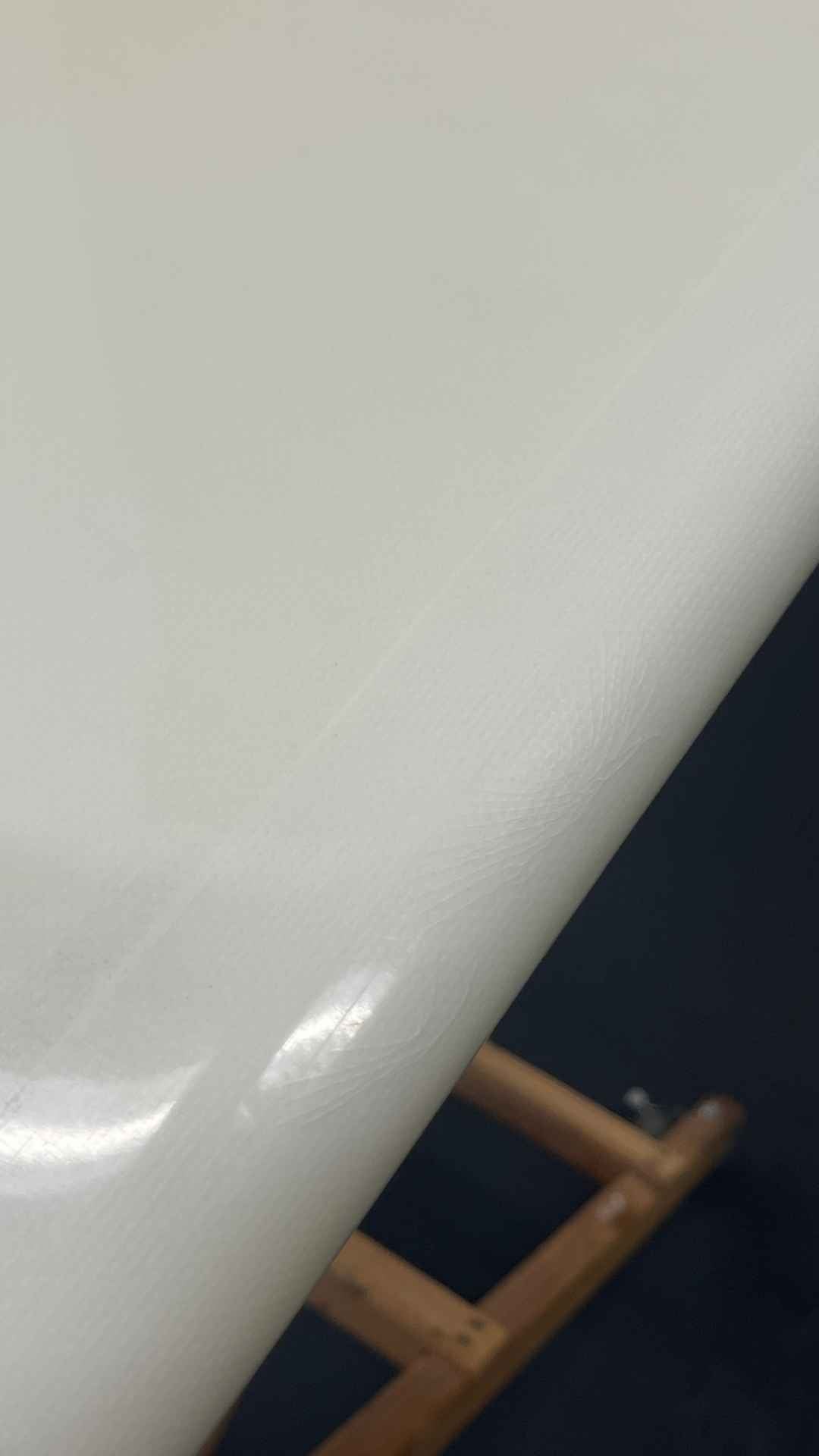 For Sale -Bing Lovebird 9'4