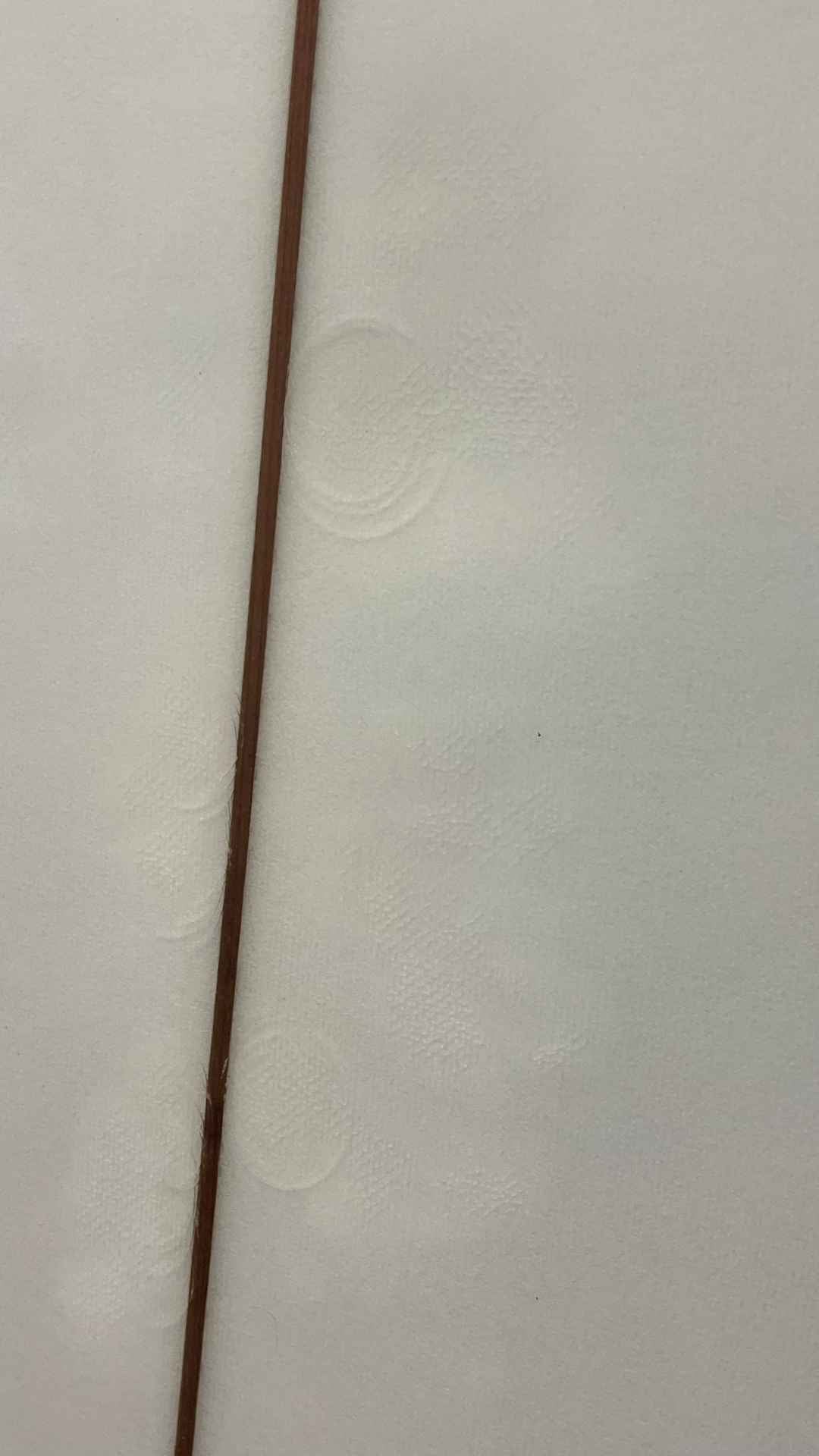 Majestic 8'6'
