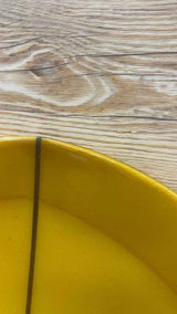Bing Puck 5'3"