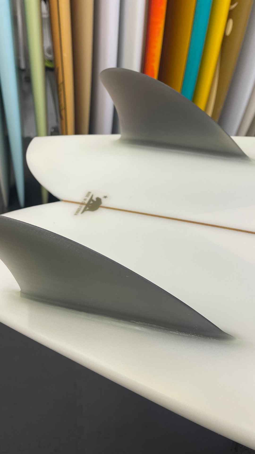 Twin Keel Fish 5'4"