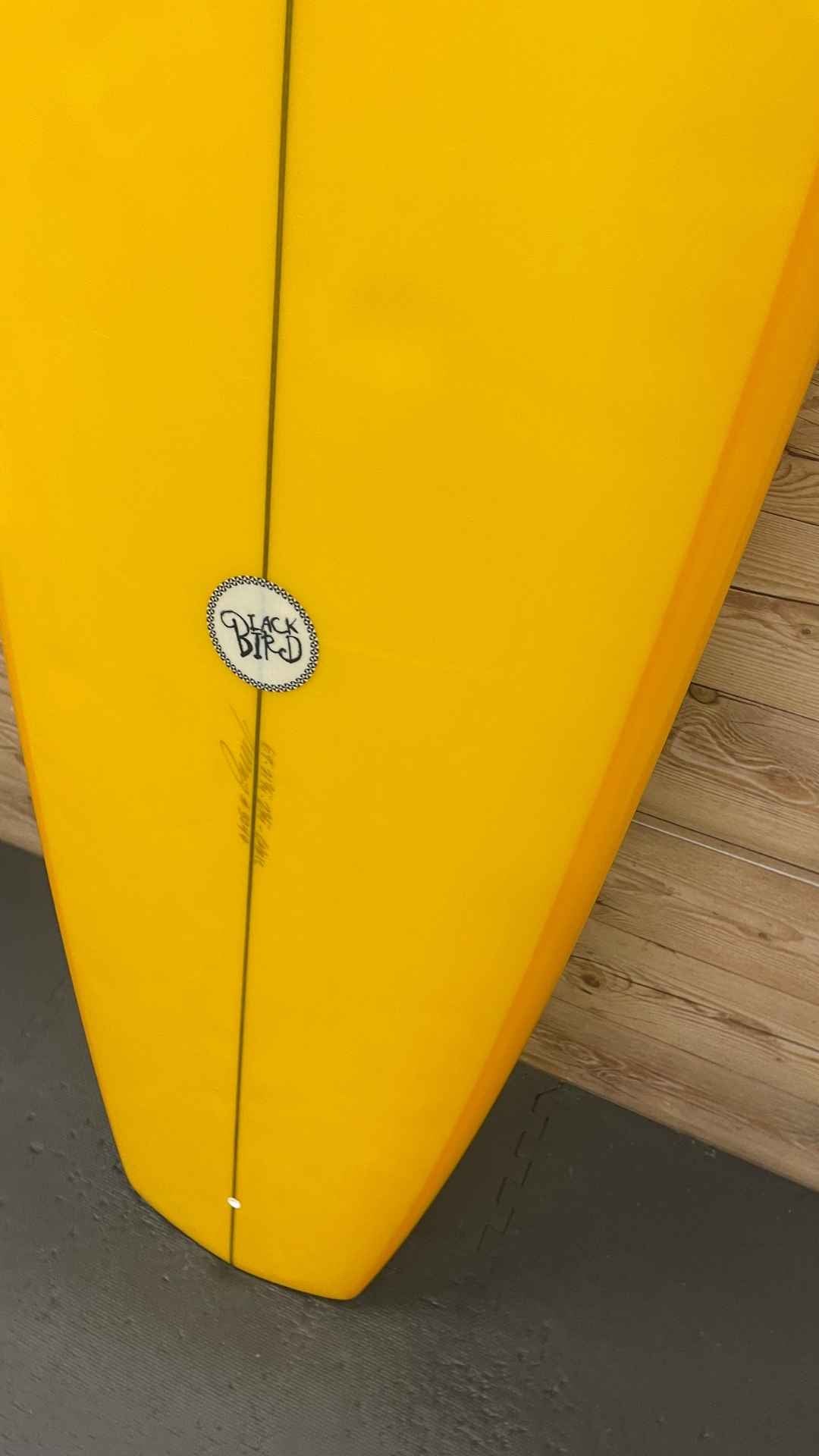 2+1 Funboard 6'9"