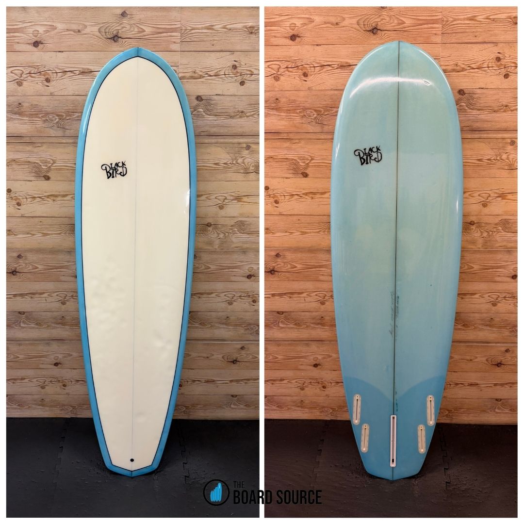 Blackbird Owl 6'2"