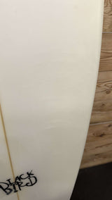 Twin Fish 5'8"