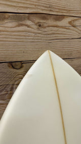 Twin Fish 5'8"