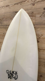 Twin Fish 5'8"